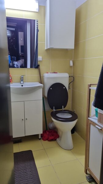 Berceni, Izvorul Crisului,