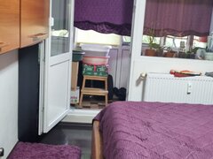 Berceni, Izvorul Crisului